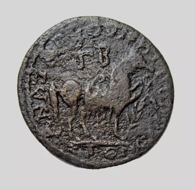 Cilicia, Anazarbus. Ae 27. Severus Alexander, 222-235 Ad. Horse Reverse. Scarce.