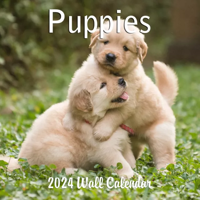 2024 PUPPIES DOGS Monthly Wall Calendar 2024 £13.76 PicClick UK