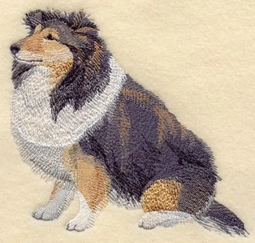 Embroidered Sweatshirt - Shetland Sheepdog Sheltie C5087 Sizes S - XXL