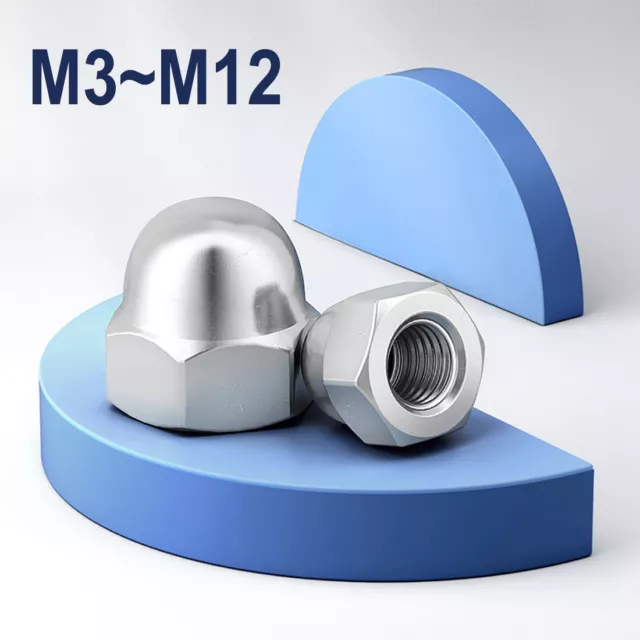 Dome Nuts Metric M3 M4 M5 M6 M8 M10 M12 316 Stainless Steel Hex Acorn Cap Nuts