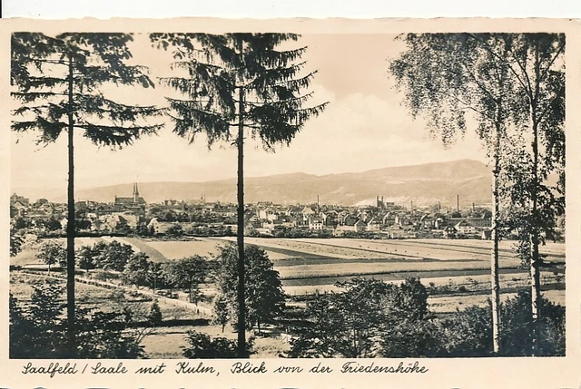 alte sw AK Saalfeld/Saale mit Kulm von der Friedenshöhe Ansichtskarte al1880c