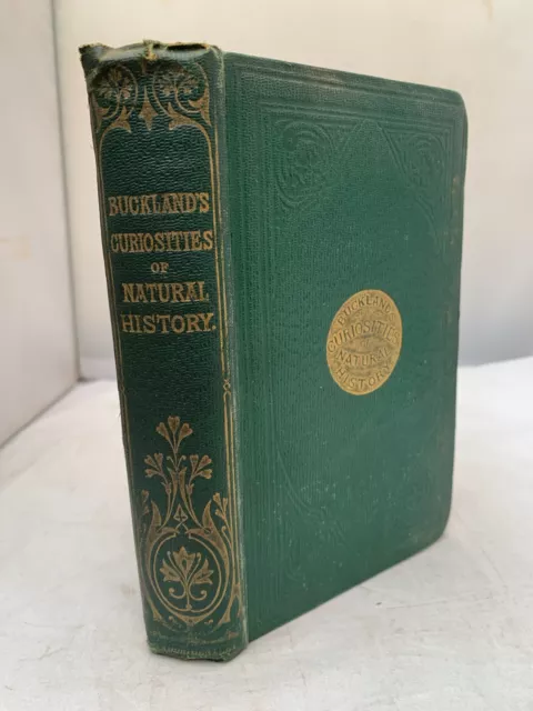 1863 Curiosities Of Natural History by F T Buckland - Illustrated Gilt HB