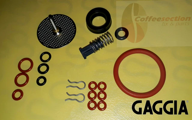Giorgio Nada Gaggia Titanium Repair Kit Saeco Magic, Royal
