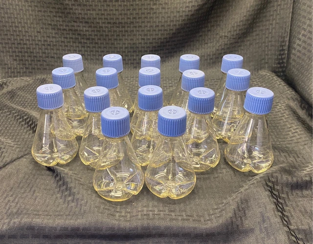 (Lot Of 17) Lab PC 250mL Graduated Erlenmeyer Culture Flasks Baffles Vented Cap