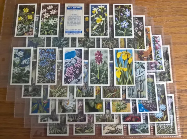 Brooke Bond tea trade cards: Wild Flowers Series 2 ISSUED IN complete full set