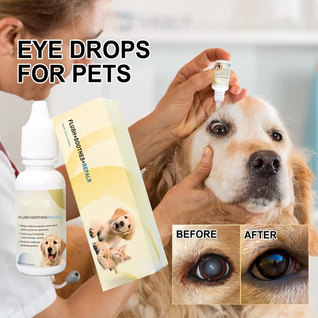 Augentropfen Haustiere Hund Katze Lanosterol Solution Verbessert die Gesundheits