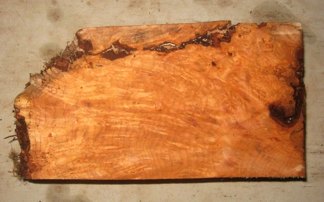 Bloque De Arce Burl Borde Vivo Torneado Artesanía Carpintería Aprox 9.5X5X2.25 In