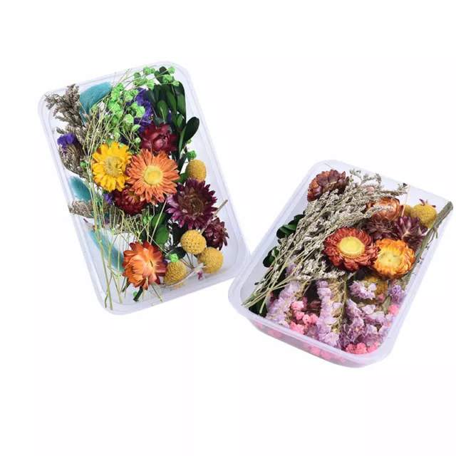 1 Box Dried Flower Real Dry Plants For Aromatherapy Candle Craft DIY Accessor ZT