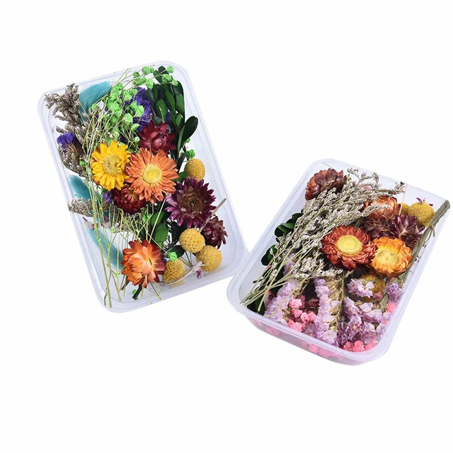 1 Box Dried Flower Real Dry Plants For Aromatherapy Candle Craft DIY Accessor`LN