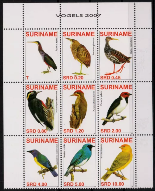Surinam; Vögel aus aller Welt 2007 im ** 9er.-Block  (22,-)
