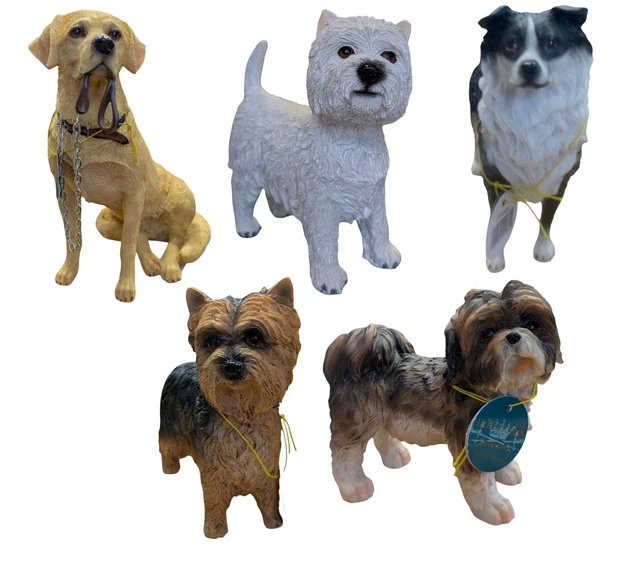 Dog Studies Golden Labrador Sitting With Lead In Mouth - Walkies