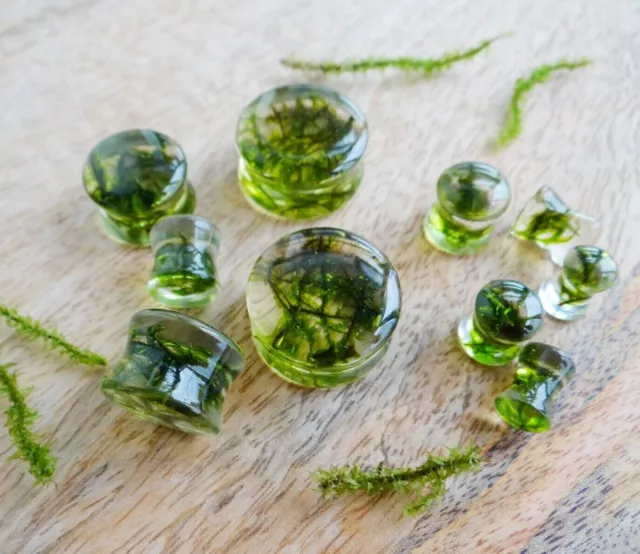 Green plugs and tunnels Moss resin gauges 1 pair  4g 2g gauges 0g wedding gift