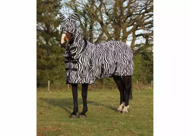 Zebra Fly Rug Horse Fly Rug Mesh With Free Fly Mask Horse Fly Rug All Sizes