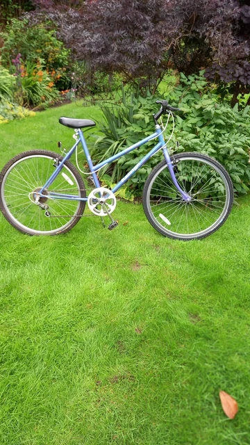 RALEIGH CALYPSO LADIES Bike blue purple 40.00 PicClick UK