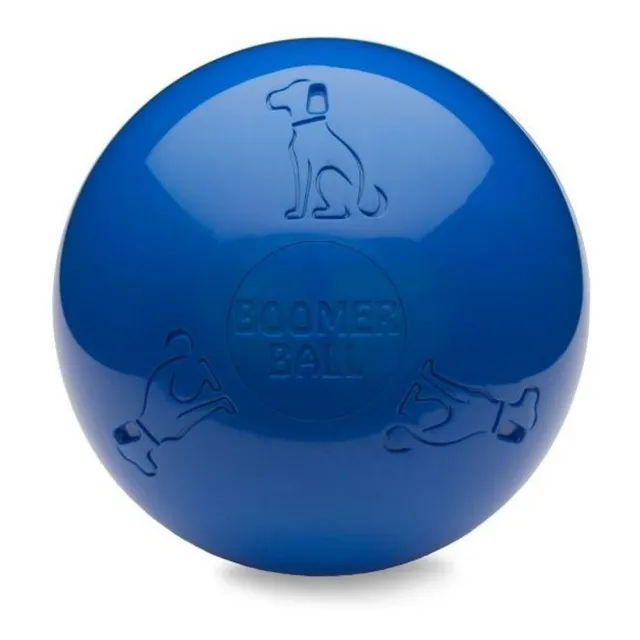 Giocattoli per cani Company of Animals Boomer Azzurro (200mm)