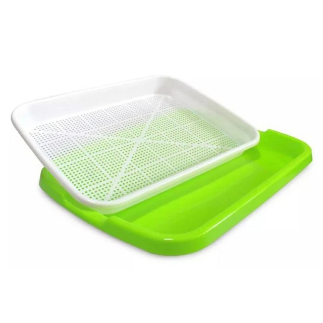 Plateau microgreens écologique pour germer vert matière plastique