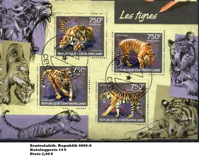Tiger Raubkatzen Zentralafrika Klb 4665-8