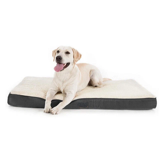 Dog Bed Cushion Medium Large Orthopedic Memory Foam Pet Sofa Cushion w/ Cover
