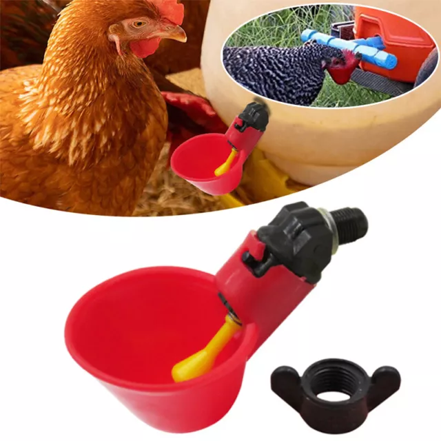1/2/5PCS Chicken Poultry Water Drinker Cup Bowl Auto Bird Hen Pigeon Farm Feeder