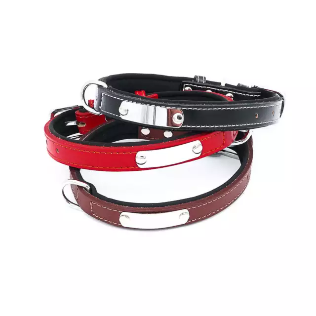 Hundehalsband Mit Namen Telefonnummer Indiv Gravur Halsband Leder Gepolstert 3