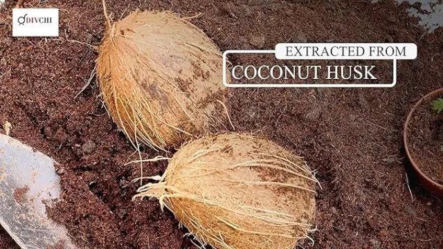 Coco Bricks| Organic Coco Peat | Coconut Fibre Reptile Friendly| Planting Soil 3