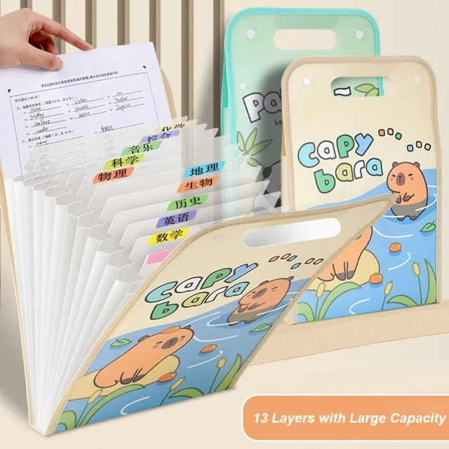 CAPYBARA TEST PAPER Storage Folder Cartoon Document Bag Cute File ...