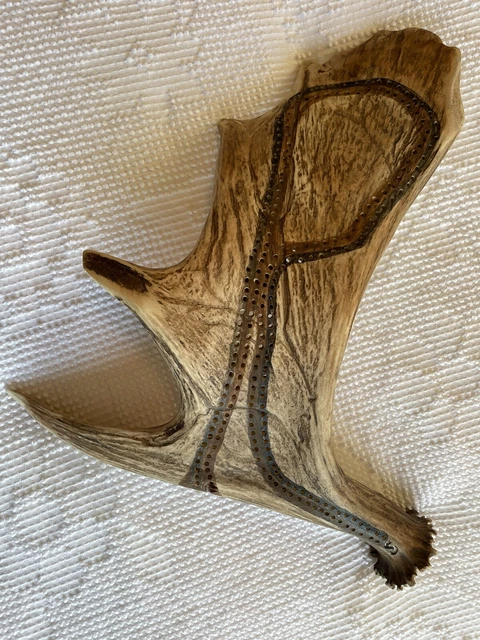 Moose Antler Carved Cribbage Board By Native American 17”x13”