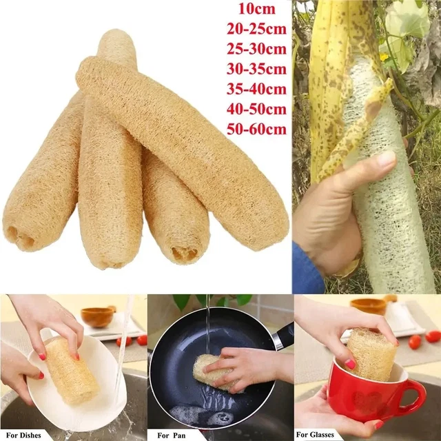 NATURAL LOOFAH SPONGE Eco Dishwashing Bath Kitchen Scrubber Brush UK £9 ...
