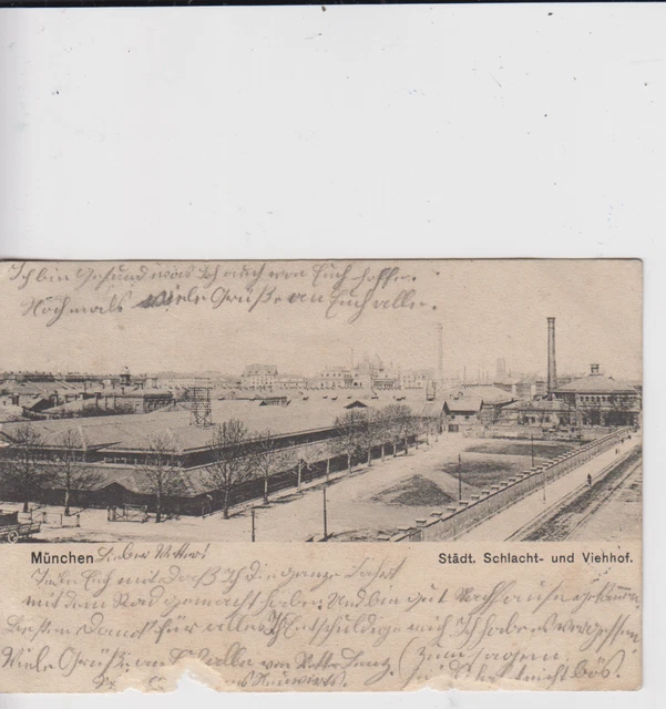AK München Oberbayern - Städt. Schlacht & Viehhof 1902