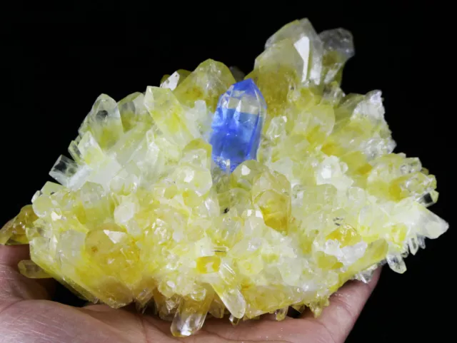 2.31 LB New Find Yellow Blue Phantom Quartz Crystal Cluster Mineral Specimen