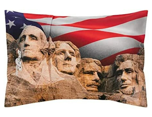 MY PILLOW Travel Pillow and Case Roll and Go-Go Anywhere Case MOUNT RUSHMORE