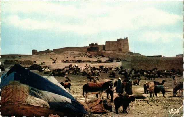 CPM AK MAROC - Goulimine-Un jour de Souk (329290)