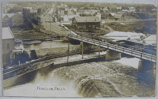 1909 RPPC Postcard~Great Birds Eye View~Fenelon Falls Ont. Canada Postmark
