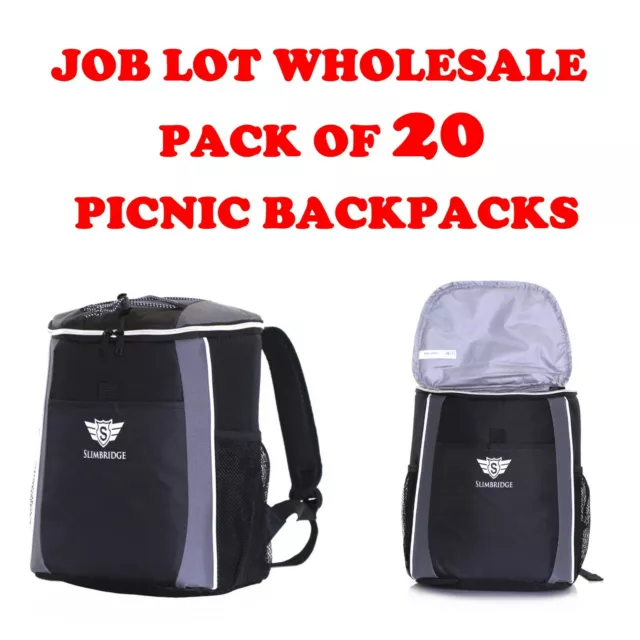 Job Lot Wholesale 20 pcs Insulated Camping School Picnic Backpacks Cooler Bags