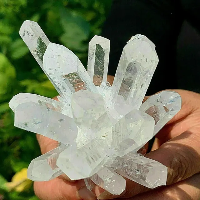 New Find white Phantom Quartz Crystal Cluster Mineral Specimen Healing 300g+/1pc 4