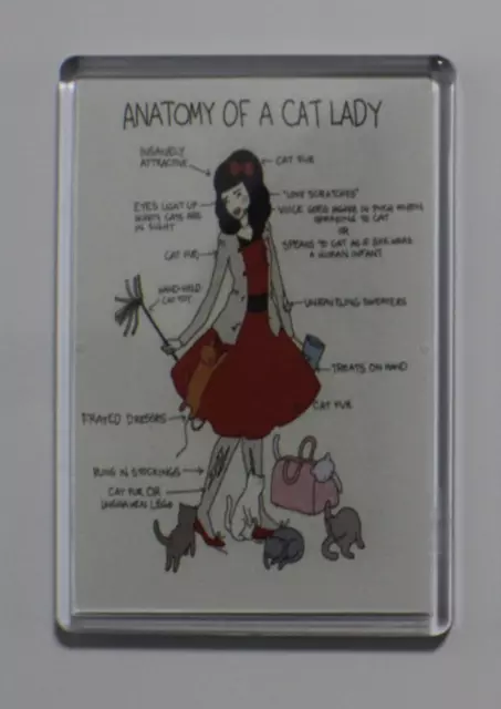 Extra Large Fridge Magnet 😺🐾❤ Anatomy Of A Cat Lady❤🐾 Cats Protection Charity