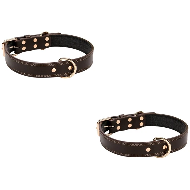 2x Hund Kostüm Kragen Pet Kragen Leder Gerollt Hund Kragen Leder Welpen Kragen