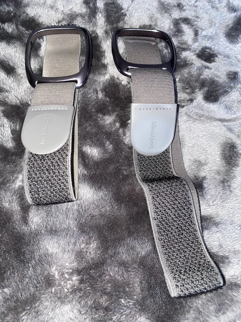 BodyMedia BodyBuggSP Replacement Band Medium and Large