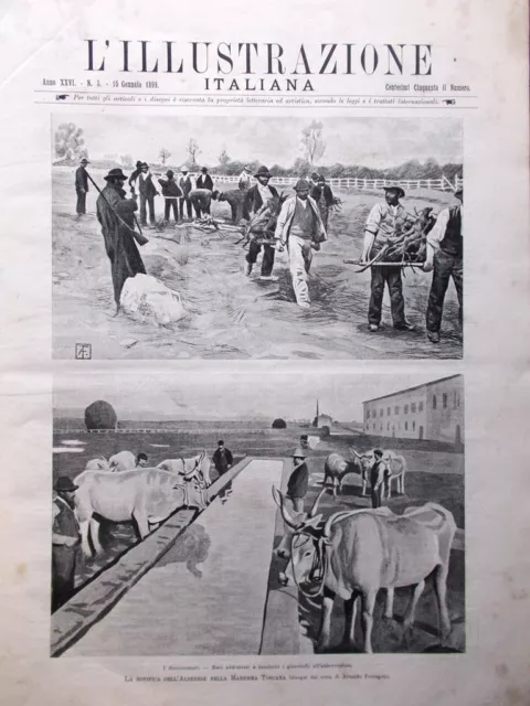 L'Illustrazione Italiana del 15 Gennaio 1899 Alberese Maremma Guida Serra Stampa