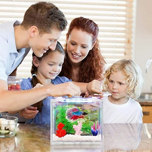 Small Betta Fish Tank, Aquarium Tank Kit with LED Lighting, 0.6 Gallon 2