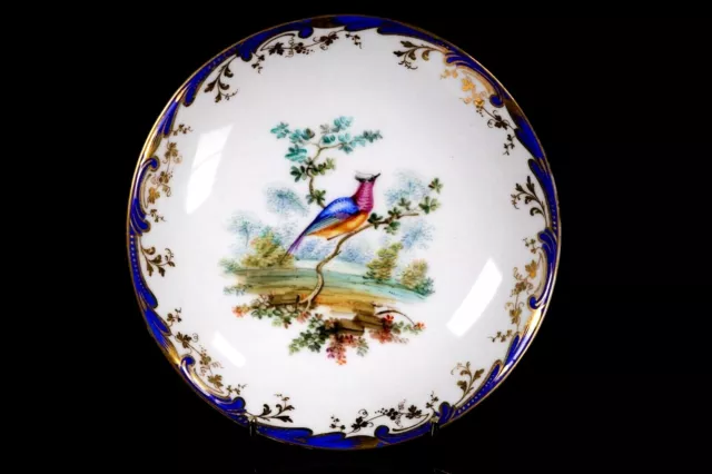 Coalport Tasse Untertasse John Randall exotische Vögel um 1850 2