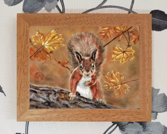 Framed Squirrel Print Artwork 6"×8" Signed Certificate By Artist Tracey Earl