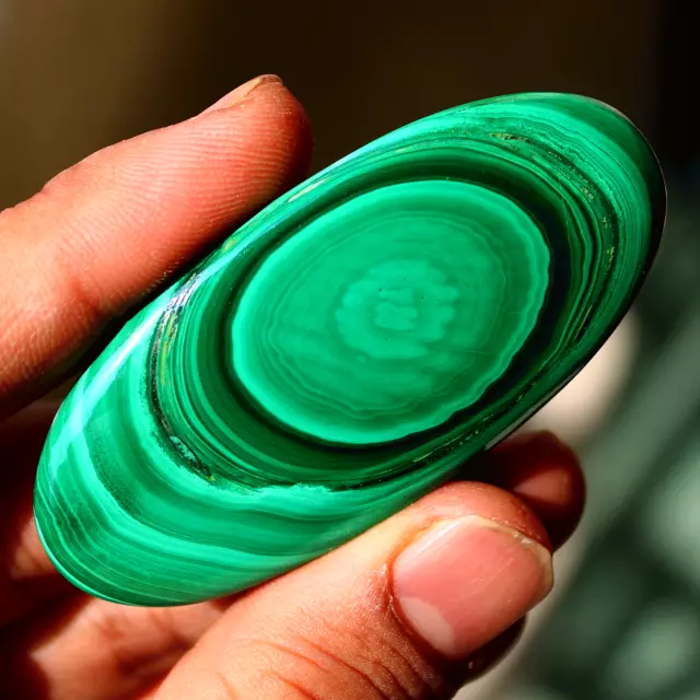 142 Cts Natural Malachite Eye Top Quality Oval Cabochon Untreated Loose Gemstone