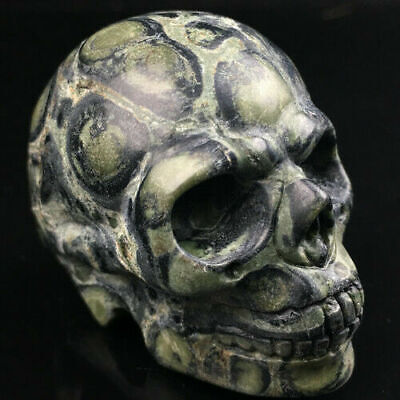 1pc Natural Kambaba Jasper Quartz Crystal Skull Carved Skull Reiki Healing 2”