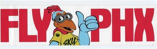 Fly Phx Sky Harbor Googled Bird Bumper Sticker