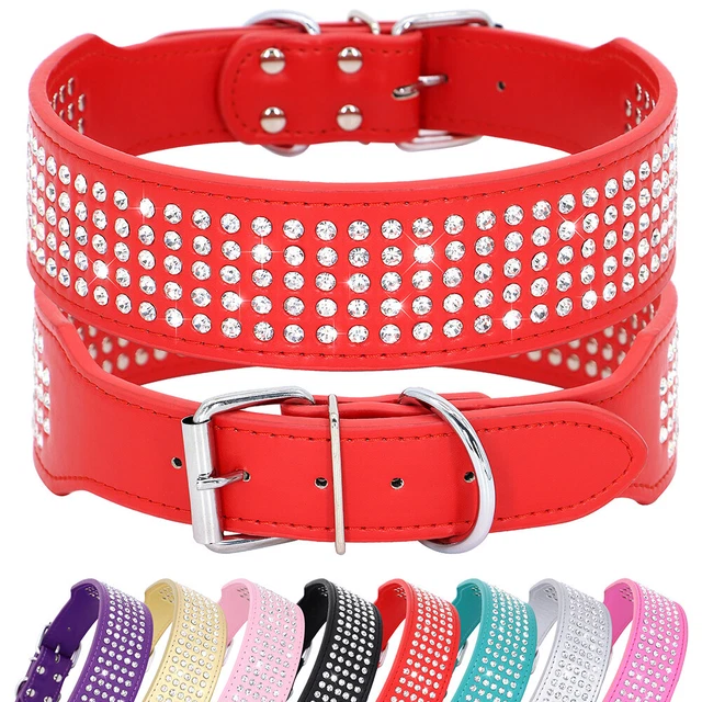 Lederhalsband Rainbow Für Hunde – Extra Breit, In M, L, XL, Mit Bunter Zierkette