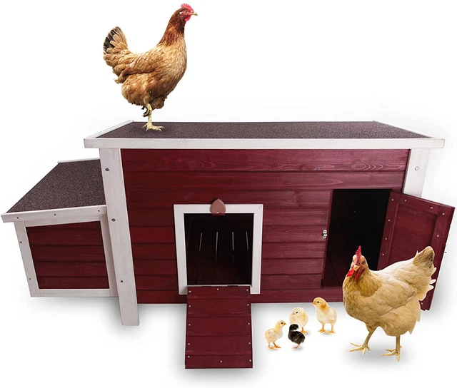 Petsfit Weatherproof Outdoor Chicken Coop with Nesting Box, Outdoor Hen House wi