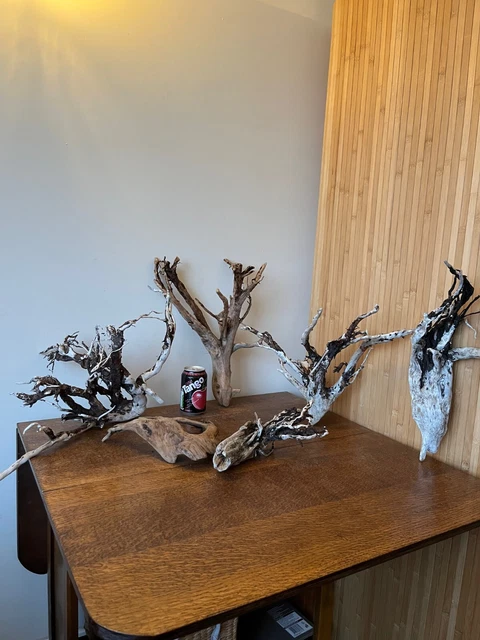 Piezas de madera a la deriva x6 ramificadas formas sólidas, pesadas/vivero. Bogwood
