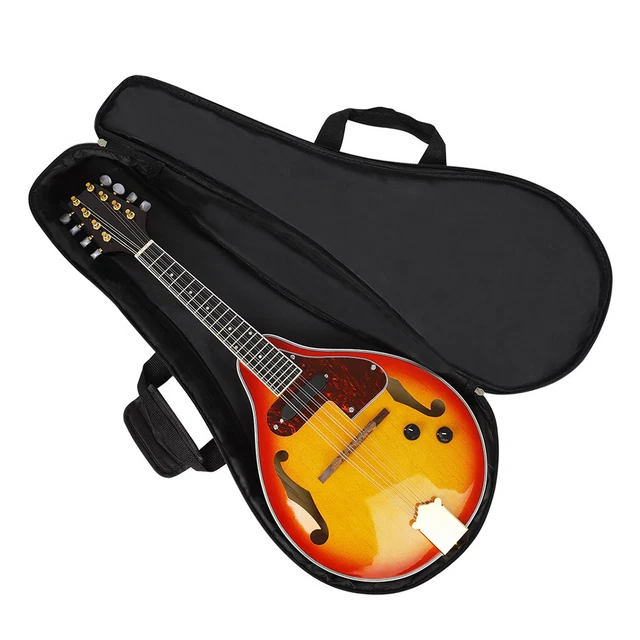 MANDOLIN BAG GUITAR Container Padded National Straps Backpack Handbag  $33.95 - PicClick AU
