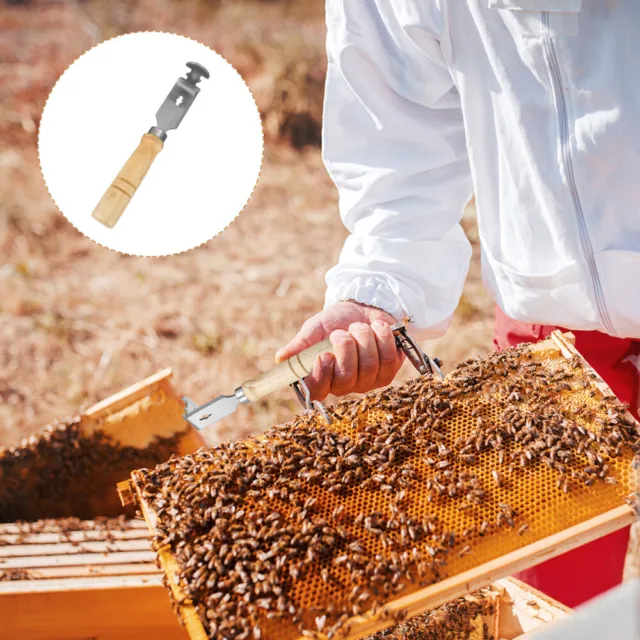Limpiador de colmenas herramienta de limpieza de acero inoxidable apicultor